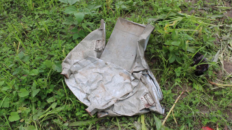 बडुवाल टोलमा फेरि हात्ती पस्यो, जंगली हात्तीको त्रासले रातभरी जाग्रम