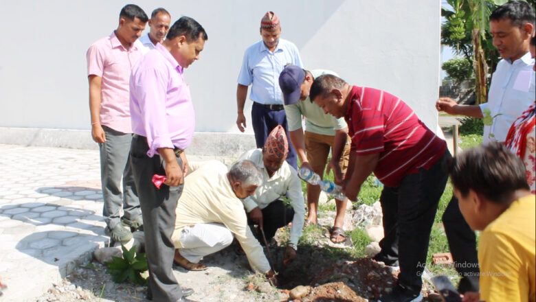 बृक्षरोपण गरि मनाईयो दोधारा चाँदनीमा विपी जन्म जयन्ती