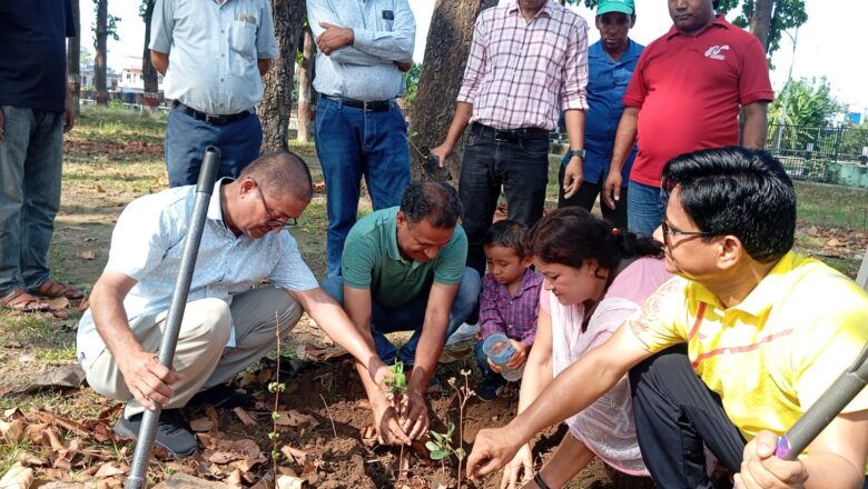 गणतन्त्र दिवसको अवसरमा प्रेस चौतारी नेपालद्धारा वृक्षारोपण र शुभकामना आदानप्रदान