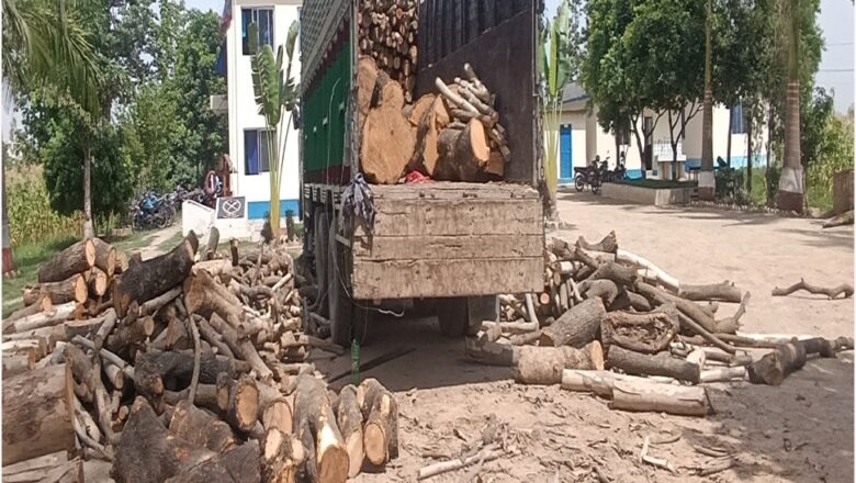 कञ्चनपुरबाट एक ट्रक काठसहित बोहरा पक्राउ