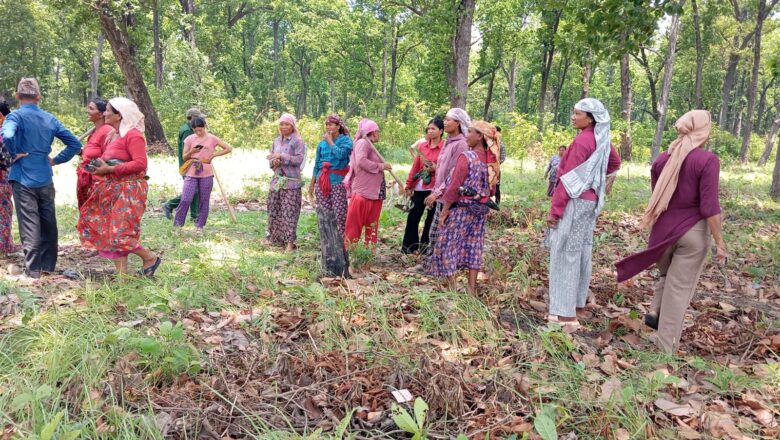 समावेशी कटान सामुदायिक बनमा तिन हजार विरुवा रोपियो, ४ हजार ५ सय विरुवा रोप्ने लक्ष्य