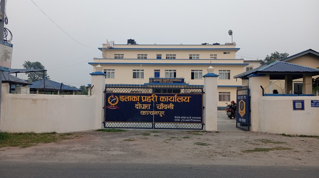 भारतको पञ्जावमा चोरीएका गहना आपको रुखमा भेटिएपछि ……