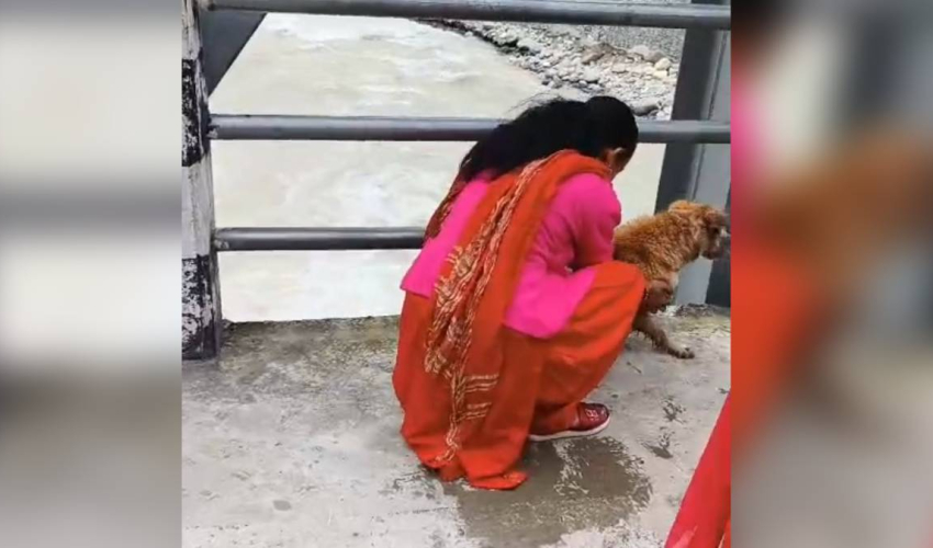 कुकुरलाई नदीमा फाल्ने महिला पक्राउ